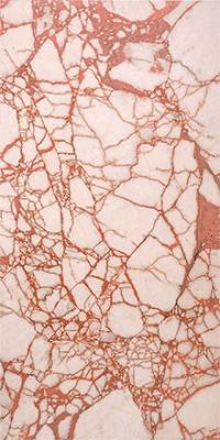 Emporio Calacatta White 120x280
