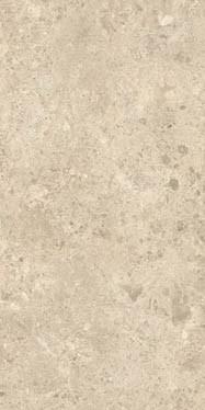 Nyra Charcoal 60x120